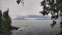 ./images/koeye/fitz-hugh/20260515/fitz-hugh20260515_142002M.jpg
