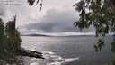 ./images/koeye/fitz-hugh/20260515/fitz-hugh20260515_154502M.jpg