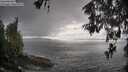 ./images/koeye/fitz-hugh/20260515/fitz-hugh20260515_173001M.jpg