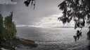 ./images/koeye/fitz-hugh/20260515/fitz-hugh20260515_173501M.jpg
