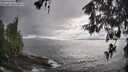 ./images/koeye/fitz-hugh/20260515/fitz-hugh20260515_174001M.jpg