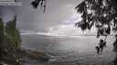 ./images/koeye/fitz-hugh/20260515/fitz-hugh20260515_174501M.jpg