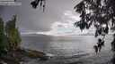 ./images/koeye/fitz-hugh/20260515/fitz-hugh20260515_175001M.jpg
