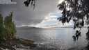 ./images/koeye/fitz-hugh/20260515/fitz-hugh20260515_175501M.jpg