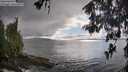 ./images/koeye/fitz-hugh/20260515/fitz-hugh20260515_180501M.jpg