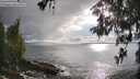 ./images/koeye/fitz-hugh/20260515/fitz-hugh20260515_182001M.jpg