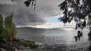 ./images/koeye/fitz-hugh/20260515/fitz-hugh20260515_183501M.jpg