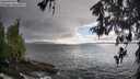 ./images/koeye/fitz-hugh/20260515/fitz-hugh20260515_184001M.jpg