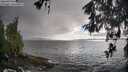 ./images/koeye/fitz-hugh/20260515/fitz-hugh20260515_184501M.jpg