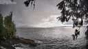 ./images/koeye/fitz-hugh/20260515/fitz-hugh20260515_185001M.jpg