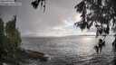 ./images/koeye/fitz-hugh/20260515/fitz-hugh20260515_185501M.jpg