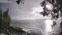 ./images/koeye/fitz-hugh/20260515/fitz-hugh20260515_190002M.jpg