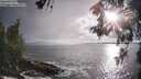 ./images/koeye/fitz-hugh/20260515/fitz-hugh20260515_190501M.jpg