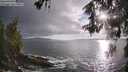 ./images/koeye/fitz-hugh/20260515/fitz-hugh20260515_191001M.jpg
