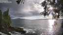 ./images/koeye/fitz-hugh/20260515/fitz-hugh20260515_191502M.jpg