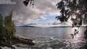 ./images/koeye/fitz-hugh/20260515/fitz-hugh20260515_194501M.jpg