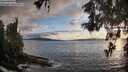 ./images/koeye/fitz-hugh/20260515/fitz-hugh20260515_201001M.jpg