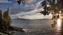 ./images/koeye/fitz-hugh/20260515/fitz-hugh20260515_202001M.jpg