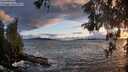./images/koeye/fitz-hugh/20260515/fitz-hugh20260515_204502M.jpg