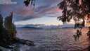 ./images/koeye/fitz-hugh/20260515/fitz-hugh20260515_211001M.jpg