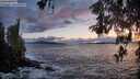 ./images/koeye/fitz-hugh/20260515/fitz-hugh20260515_211501M.jpg