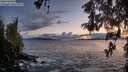 ./images/koeye/fitz-hugh/20260515/fitz-hugh20260515_213001M.jpg