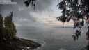 ./images/koeye/fitz-hugh/20260516/fitz-hugh20260516_054502M.jpg