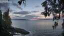 ./images/koeye/fitz-hugh/20260516/fitz-hugh20260516_055501M.jpg