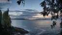 ./images/koeye/fitz-hugh/20260516/fitz-hugh20260516_060501M.jpg