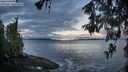 ./images/koeye/fitz-hugh/20260516/fitz-hugh20260516_061502M.jpg