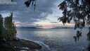 ./images/koeye/fitz-hugh/20260516/fitz-hugh20260516_062001M.jpg