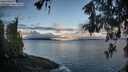 ./images/koeye/fitz-hugh/20260516/fitz-hugh20260516_063501M.jpg