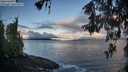 ./images/koeye/fitz-hugh/20260516/fitz-hugh20260516_064001M.jpg