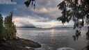 ./images/koeye/fitz-hugh/20260516/fitz-hugh20260516_065502M.jpg