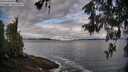 ./images/koeye/fitz-hugh/20260516/fitz-hugh20260516_073001M.jpg