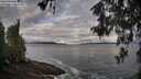 ./images/koeye/fitz-hugh/20260516/fitz-hugh20260516_073502M.jpg