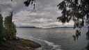 ./images/koeye/fitz-hugh/20260516/fitz-hugh20260516_074002M.jpg