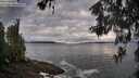 ./images/koeye/fitz-hugh/20260516/fitz-hugh20260516_074501M.jpg
