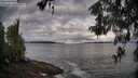 ./images/koeye/fitz-hugh/20260516/fitz-hugh20260516_075002M.jpg