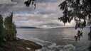 ./images/koeye/fitz-hugh/20260516/fitz-hugh20260516_080001M.jpg