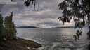 ./images/koeye/fitz-hugh/20260516/fitz-hugh20260516_080501M.jpg