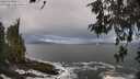 ./images/koeye/fitz-hugh/20260516/fitz-hugh20260516_094002M.jpg
