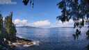 ./images/koeye/fitz-hugh/20260516/fitz-hugh20260516_110501M.jpg