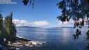 ./images/koeye/fitz-hugh/20260516/fitz-hugh20260516_111001M.jpg