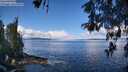./images/koeye/fitz-hugh/20260516/fitz-hugh20260516_111502M.jpg
