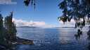 ./images/koeye/fitz-hugh/20260516/fitz-hugh20260516_112002M.jpg