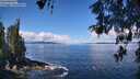 ./images/koeye/fitz-hugh/20260516/fitz-hugh20260516_112501M.jpg
