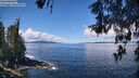 ./images/koeye/fitz-hugh/20260516/fitz-hugh20260516_114501M.jpg