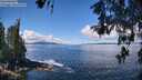 ./images/koeye/fitz-hugh/20260516/fitz-hugh20260516_115001M.jpg
