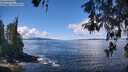 ./images/koeye/fitz-hugh/20260516/fitz-hugh20260516_120501M.jpg